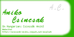 aniko csincsak business card